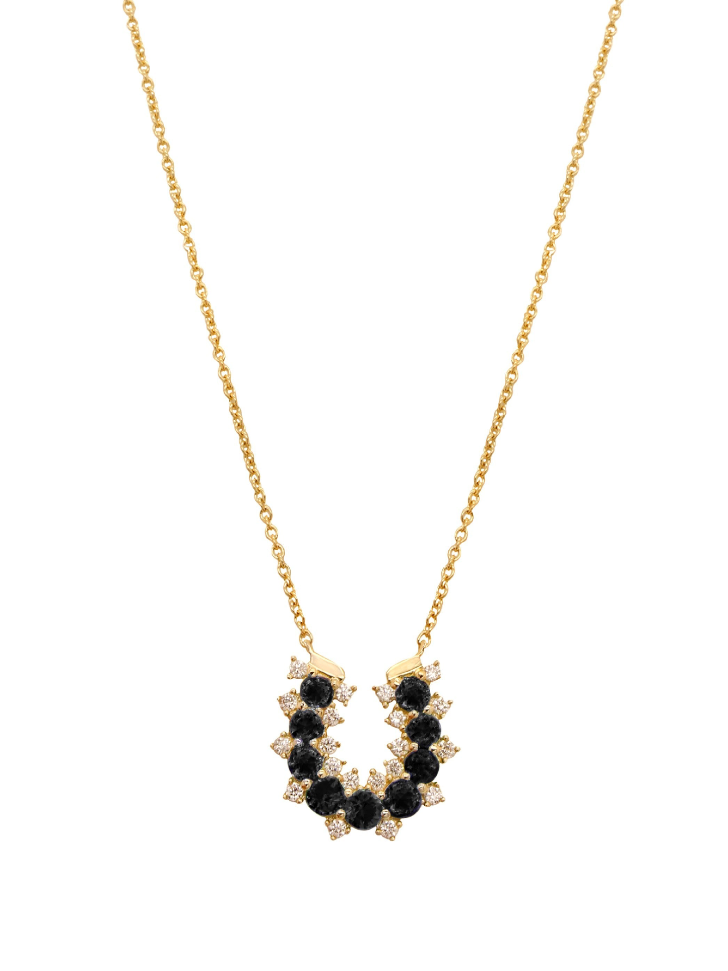 14k Yellow Gold Black Diamond/Lucky Horseshoe Necklace