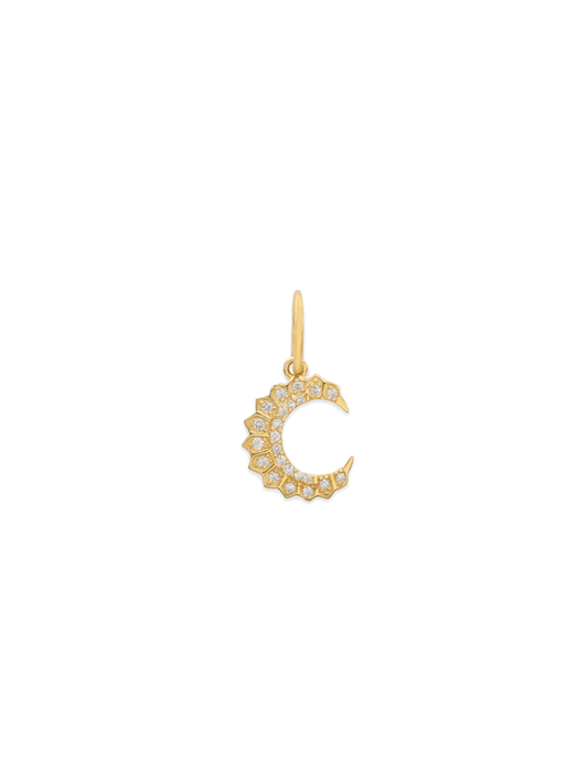 14k Yellow Gold Diamond Small Crescent Moon Charm