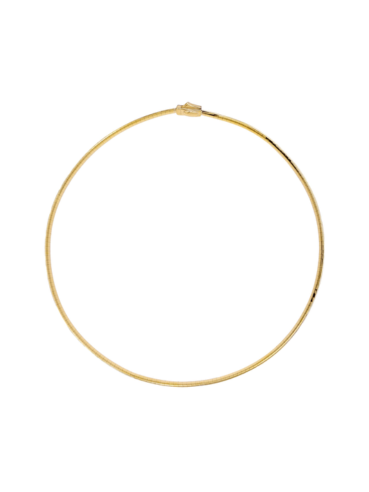 14k Yellow and White Gold Reversible Omega Charm Necklace